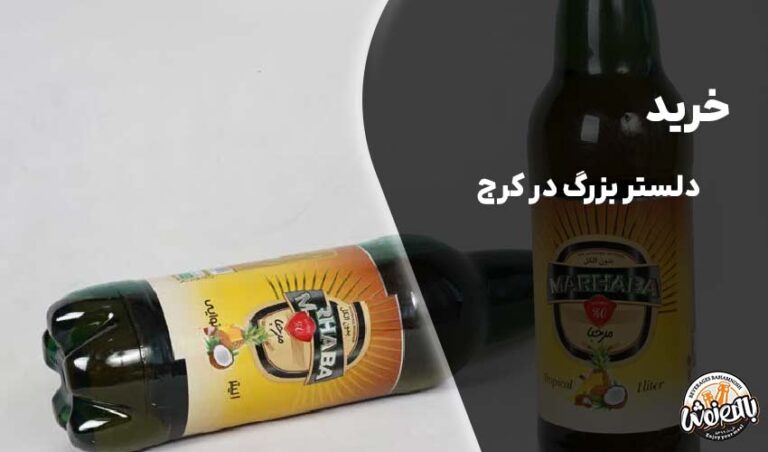 خرید دلستر بزرگ در کرج
